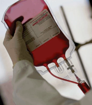 Image: Prewashed red blood cells ready for transfusion (Photo courtesy of University of Leicester).